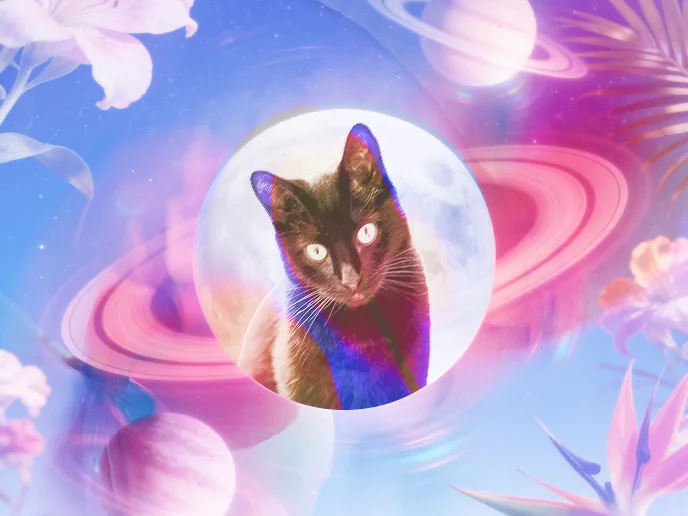 Cosmic Pet Portraits