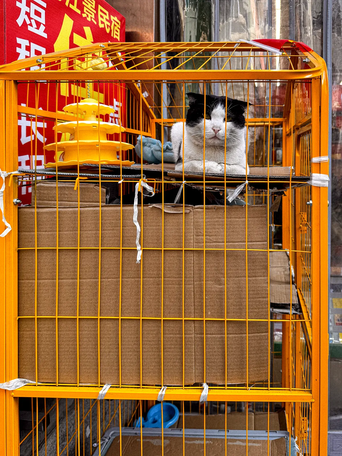 Orange trolley