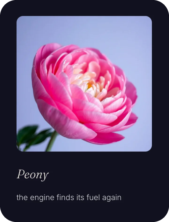 Bloom after Rain, flower card