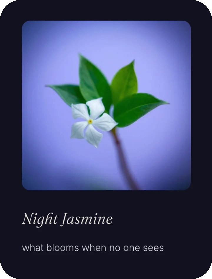 Bloom after Rain, flower card