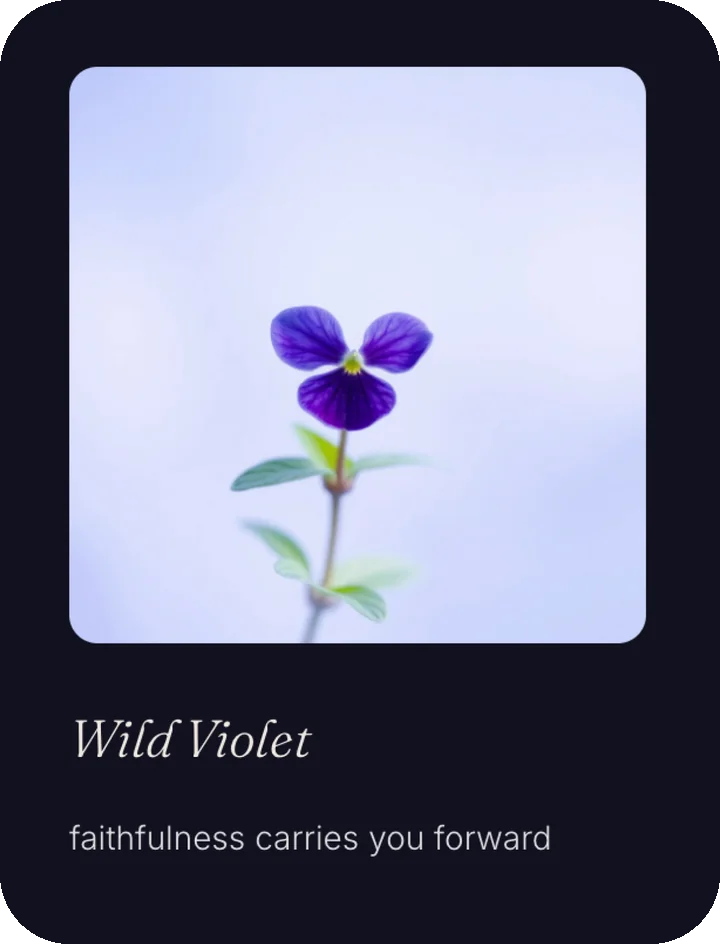 Bloom after Rain, flower card