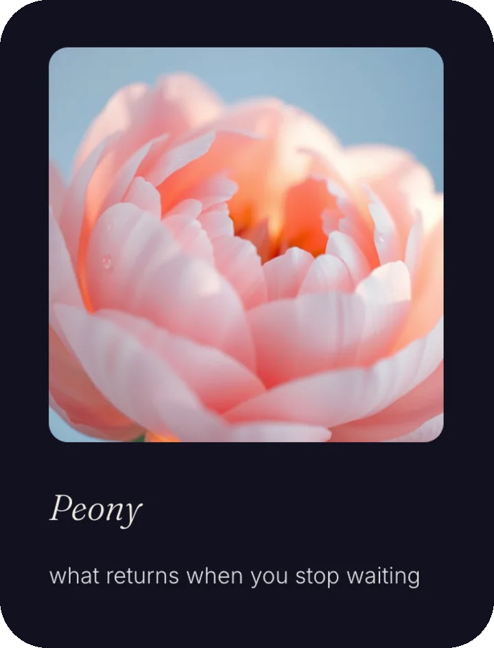 Bloom after Rain, flower card